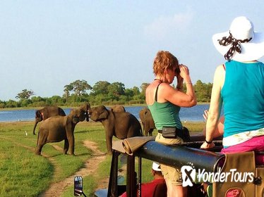 One Day Safari Tour to Both Yala and Udawalawe National Parks