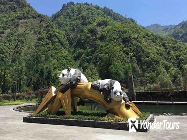 One day tour to Wolong Panda Base and Dujiangyan Irrigation Dam