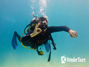 Open Water Diver