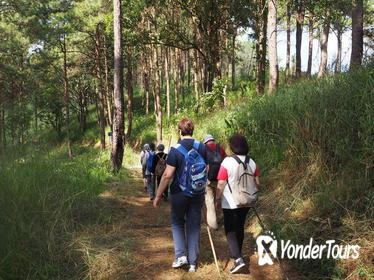 Opium Trail Trek Including Wat Phra That Doi Suthep and Hmong Village Tour