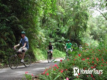 Original Blue Mountain Bicycle Tour from Falmouth