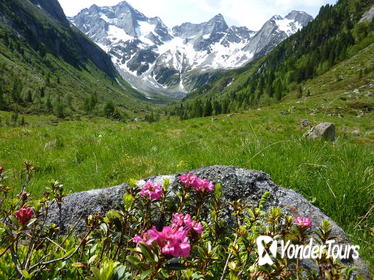 Original Sound of Music Private Tour Original Sound of Music Private Tour