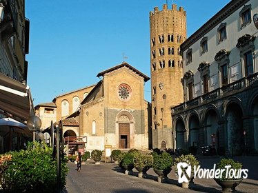 Orvieto Wine Tasting from Rome