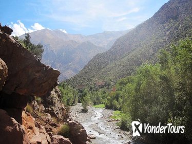 Ourika Valley: Day Trip from Marrakech