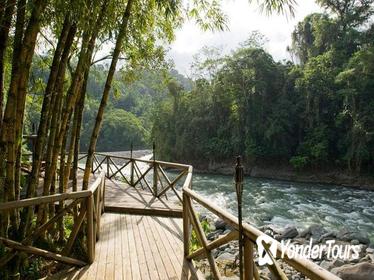 Overnight Pacuare River and Rafting Trip from San Jose