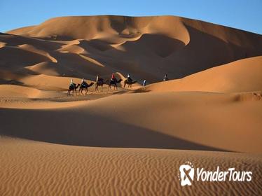 Overnight Tour from Marrakech to Zagora Including Desert Camp and Camel Trek