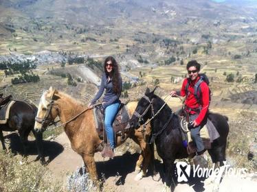 Overnight Tour: Colca Canyon Including Horse Riding from Arequipa