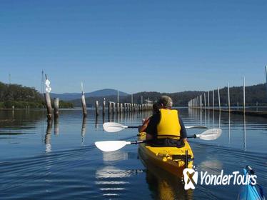 Oyster Kayak Tour from Batemans Bay