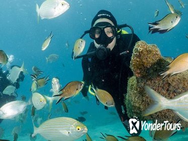 PADI Discover Scuba Diving Course in Sa Coma PADI Discover Scuba Diving Course in Sa Coma