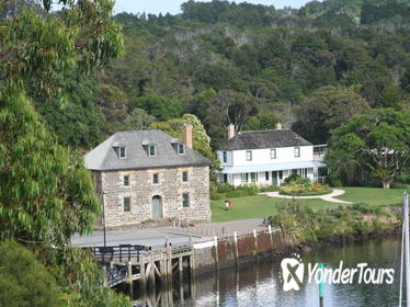 Pahia Shore Excursion: Private Half-Day Bay of Islands Tour