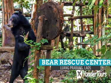 PAK OU CAVES, KUANG SI WATERFALL & BEAR RESCUE CENTER - Luang Prabang full day