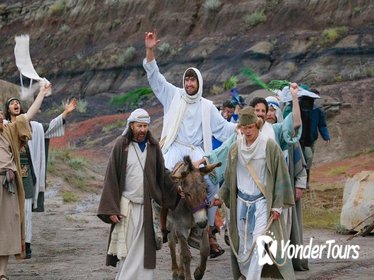 Palm Sunday in Jerusalem: Mass at Bethpage and Via Dolorosa Procession