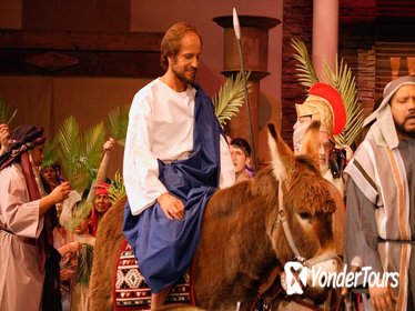 Palm Sunday in Jerusalem: Mass at Bethpage and Via Dolorosa Procession with Transport from Tel Aviv