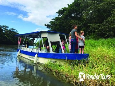 Palo Verde National Park & Coffee Tour