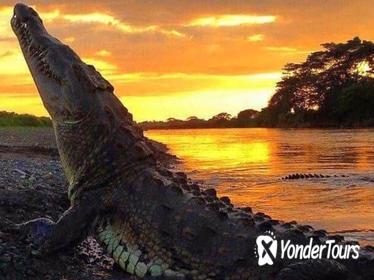 Palo Verde Wildlife Tour from Tamarindo