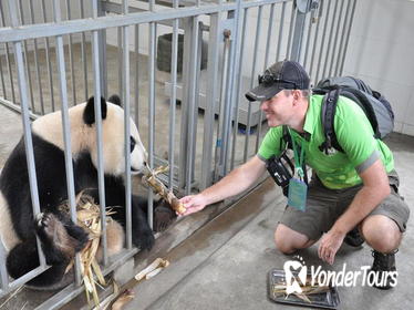 Panda Rescue Center Volunteer for a Day