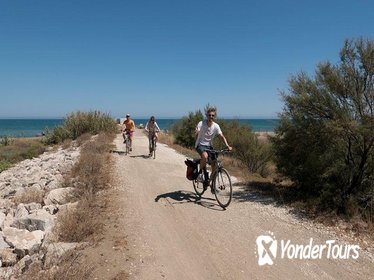 Panoramic Bike Tour: Castles and the Highs of Malaga