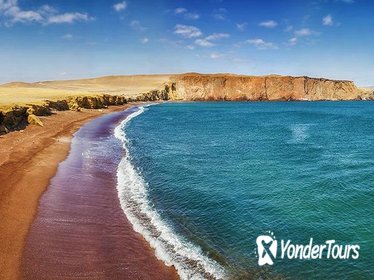 Paracas National Reserve Private Tour