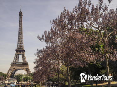 Paris in a Day: Montmartre, Notre Dame, Louvre, Eiffel Tower