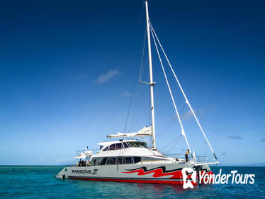 Passions of Paradise Great Barrier Reef Snorkel and Dive Cruise from Cairns by Luxury Catamaran