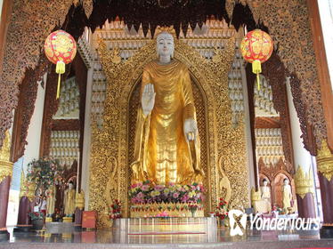 Penang City Tour With Entopia Butterfly Farm Admission Tickets