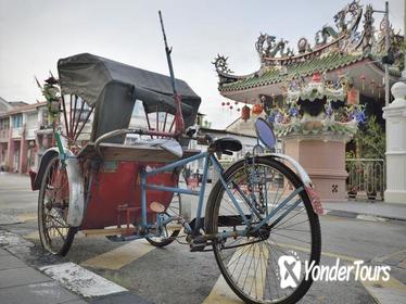 Penang Highlights by Trishaw from George Town