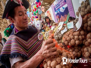 Peruvian Home Cooking