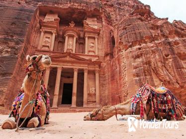 Petra and Wadi Rum: Southern Jordan Private Tour from Amman