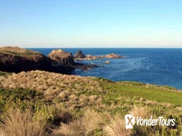 Phillip Island Tour Including Cape Woolamai Walking Trail