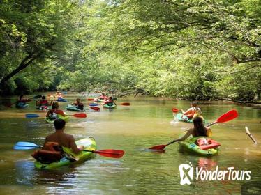 Phu Quoc Northern Island and Kayaking in Cua Can River