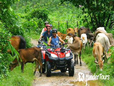 Phuket ATV Bike Tour