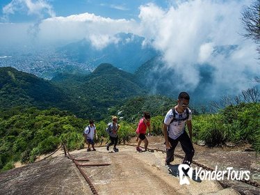 Pico da Tijuca Small-Group Hiking Tour