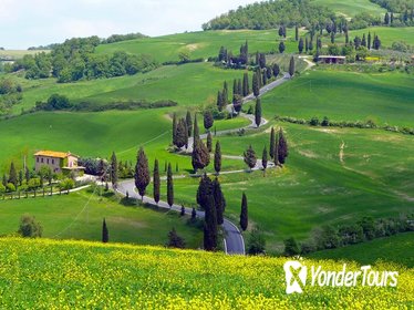 Pienza Val d'Orcia Montalcino Brunello Wine and Pecorino Cheese PRIVATE TOUR from Siena
