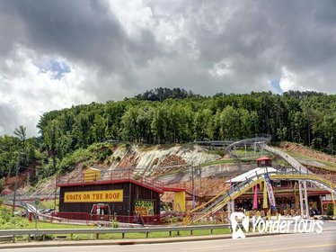 Pigeon Forge: The Coaster at Goats on the Roof
