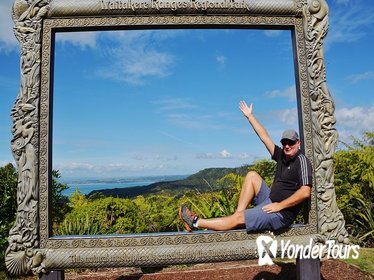 Piha Beach and Rainforest Day Tour