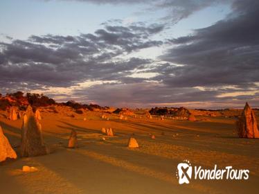 Pinnacles Desert, New Norcia and Wildflowers Day Tour from Perth