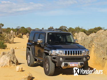Pinnacles Hummer 4WD Day Trip from Perth Including Moore River and Caversham Wildlife Park