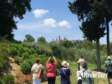 Pisa and Tuscany from Florence Private Tour