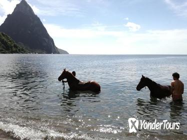 Piton Beach Ride