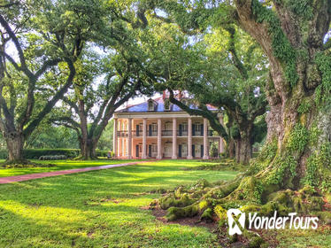 Plantation Brunch and Swamp Experience from New Orleans