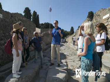 Pompeii and Mt. Vesuvius Day Trip from Naples with Lunch and Wine Tastings