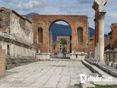 Pompeii and Museum of Naples Private Tour led by an Archaeologist