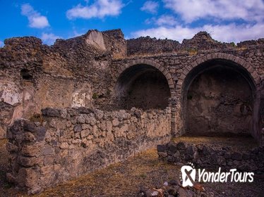 Pompeii ruins and Archaeological Museum private tour from Rome