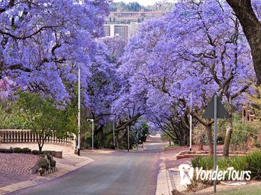 Pretoria Sightseeing Day Trip from Johannesburg