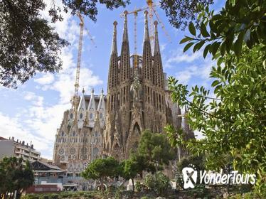 Priority Access: Barcelona Sagrada Familia Tour