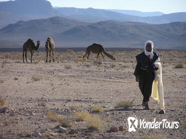 Private 2-Night Tour to Erg Chegaga Sand Desert from Marrakech