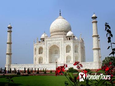 Private 5-Night Delhi, Jaipur, Ranthambore, and Agra Tour with Taj Mahal