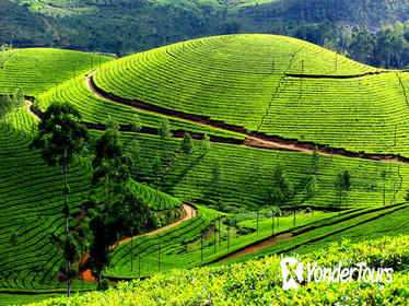 Private 7-Day Kerala Tour From Kochi With Aleppey Houseboat Cruise
