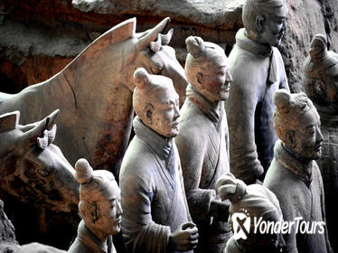 Private 8-Day China Tour: Beijing, Xi'an and Shanghai