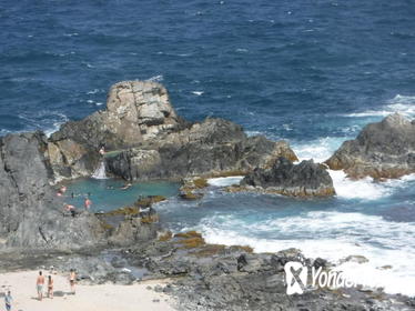 Private Aruba Natural Pool Horseback-Riding Tour